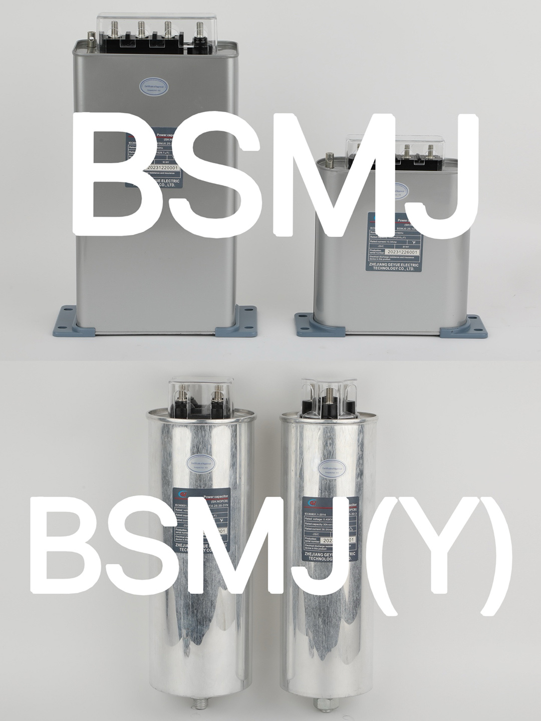 FAQ 1: BSMJ এবং BSMJ(Y) যথাক্রমে কিসের প্রতিনিধিত্ব করে?